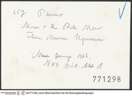 Rückseite von bh771298_recto