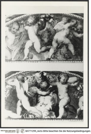 Vorderseite von bh771299_recto