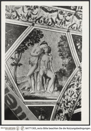 Vorderseite von bh771303_recto