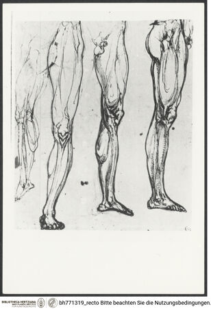 Vorderseite von bh771319_recto