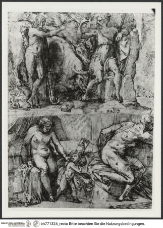 Vorderseite von bh771324_recto