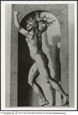 Vorderseite von bh771326_recto