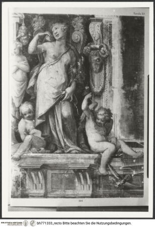 Vorderseite von bh771333_recto