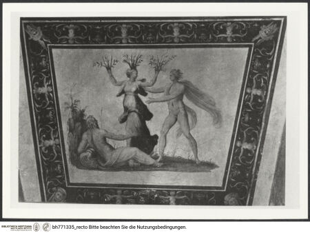 Vorderseite von bh771335_recto