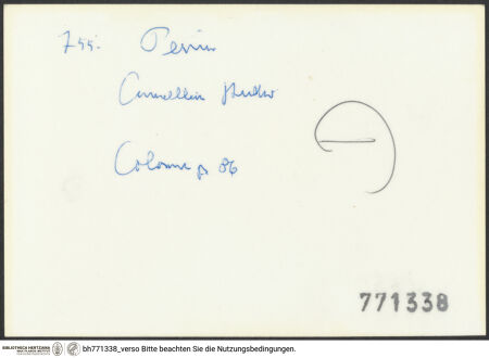 Rückseite von bh771338_recto