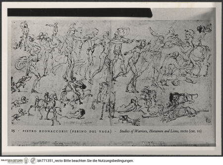 Vorderseite von bh771351_recto