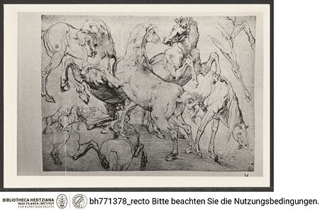 Vorderseite von bh771378_recto