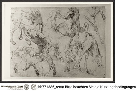 Vorderseite von bh771386_recto