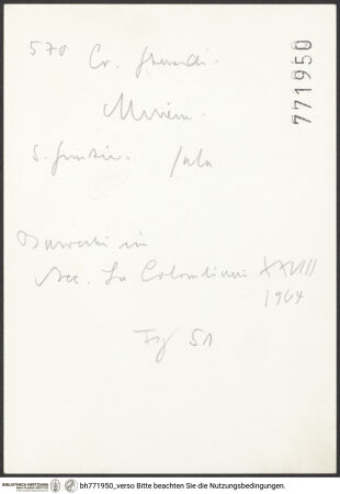 Rückseite von bh771950_recto