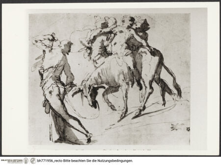 Vorderseite von bh771956_recto