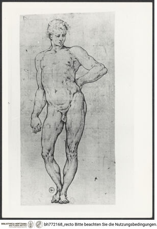 Vorderseite von bh772168_recto