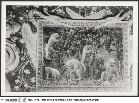 Vorderseite von bh772976_recto