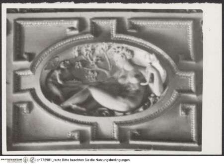 Vorderseite von bh772981_recto