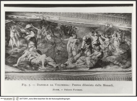 Vorderseite von bh772991_recto