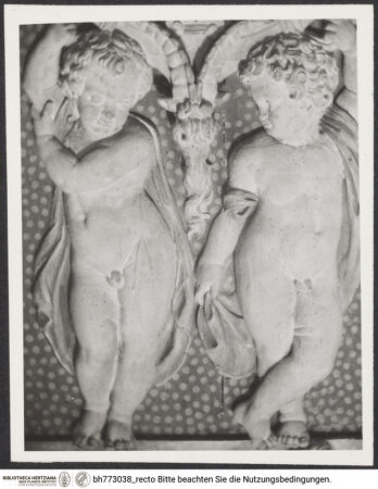 Vorderseite von bh773038_recto