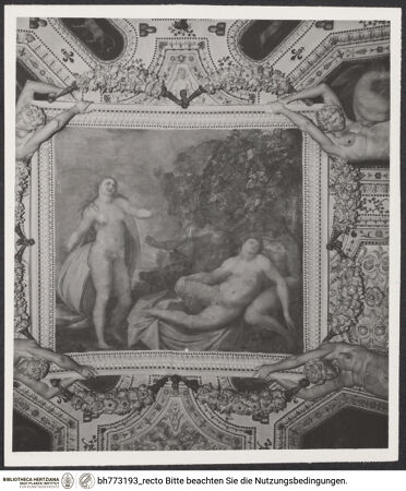 Vorderseite von bh773193_recto