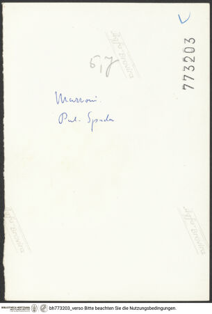 Rückseite von bh773203_recto