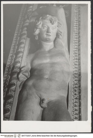 Vorderseite von bh773207_recto