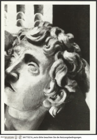 Vorderseite von bh773216_recto