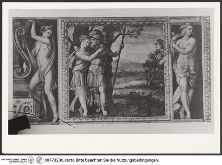 Vorderseite von bh773286_recto