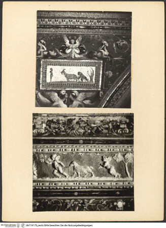 Vorderseite von bh774173_recto