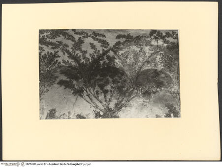 Vorderseite von bh774501_recto