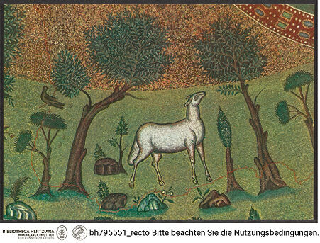 Vorderseite von bh795551_recto