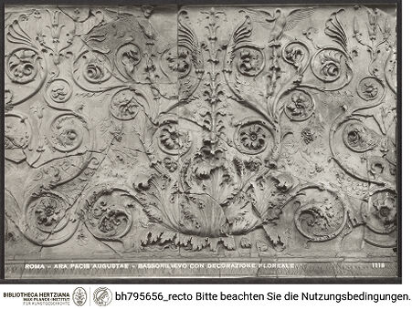 Vorderseite von bh795656_recto