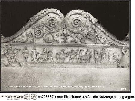 Vorderseite von bh795657_recto