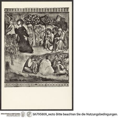 Vorderseite von bh795809_recto