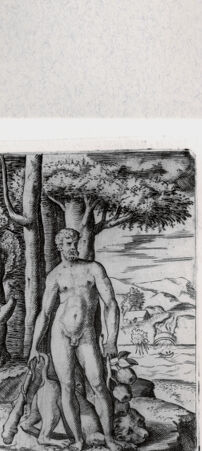 Rückseite von  [http://creativecommons.org/publicdomain/mark/1.0/] Herkules - , bh001245. Foto.