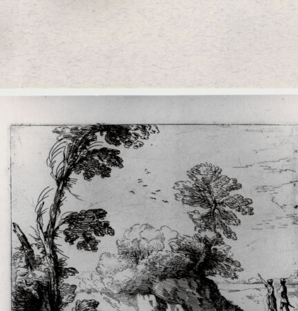 Rückseite von  [http://creativecommons.org/publicdomain/mark/1.0/] Landschaft - , bh001441. Foto.