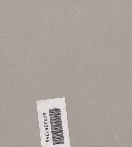 Rückseite von Braun, Adolphe [http://creativecommons.org/publicdomain/mark/1.0/] Zwei Karikaturen und Medici Wappen - , bh002285_recto. Foto.