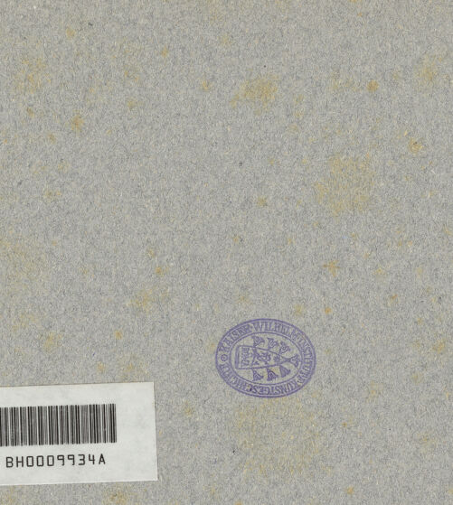 Rückseite von ICCD [https://www.deutsche-digitale-bibliothek.de/content/lizenzen/rv-ez/] Mosaik mit geometrischen Figuren (Kreuze, Oktogone, Hexagone) - , bh005512_recto. Foto.