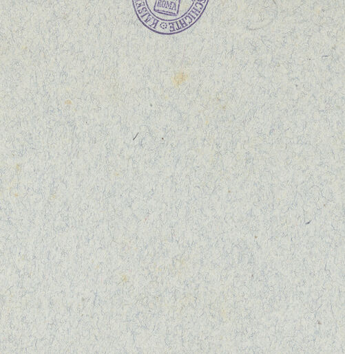 Rückseite von unbekannt [https://rightsstatements.org/page/CNE/1.0/] Relief, möglicherweise Fragment einer Chorschranke - , bh005903_recto. Foto.