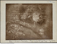 Thumbnail des vierten Ordners