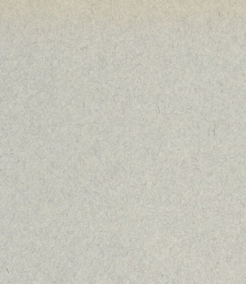 Rückseite von bh007038_recto