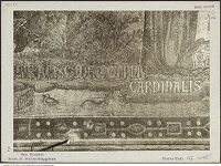 Thumbnail des 8. Ordners