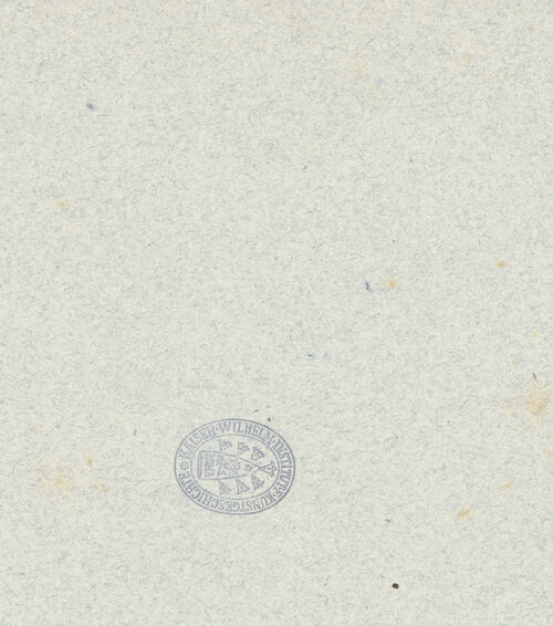 Rückseite von bh009984_recto