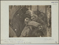 Thumbnail des fünften Ordners