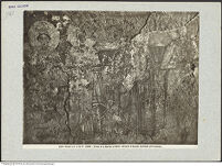 Thumbnail des dritten Ordners