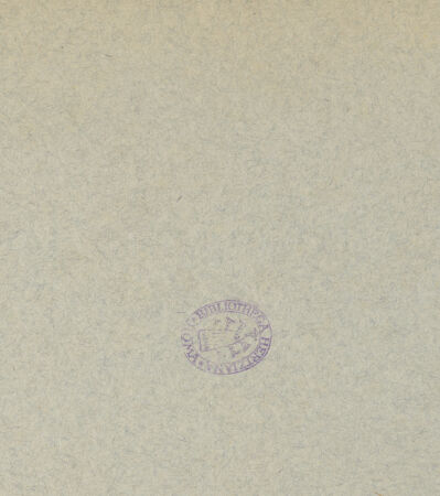 Rückseite von ICCD (Luce) [https://www.deutsche-digitale-bibliothek.de/content/lizenzen/rv-ez/] Cassone mit geometrischen Ornamentbeschlägen und Wappenschilden - Gesamtansicht, bh014870_recto. Foto.