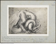 Thumbnail des dritten Ordners