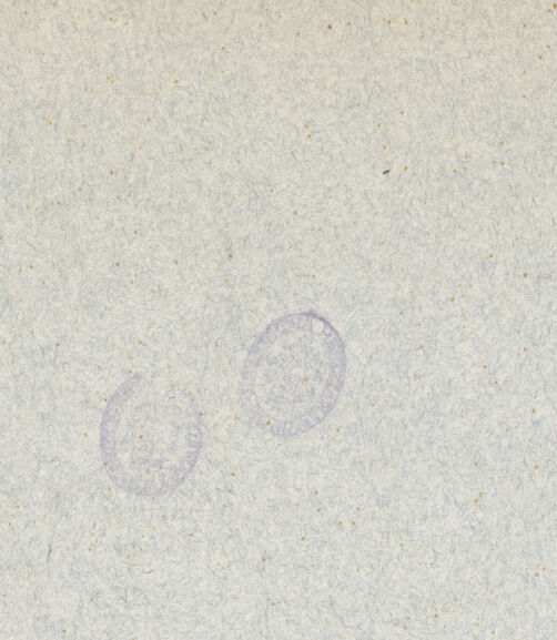 Rückseite von El Escorial ? [https://www.deutsche-digitale-bibliothek.de/content/lizenzen/rv-ez/] Codex EscurialensisDie Nil-Statue vom Monte Cavallo - , bh016778_recto. Foto.