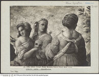 Thumbnail des dritten Ordners