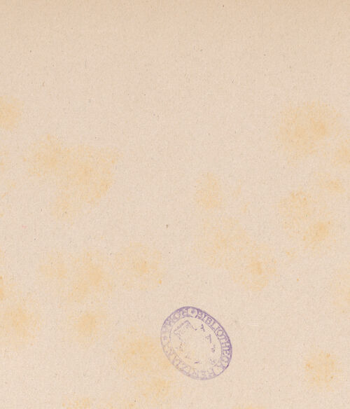 Rückseite von Alinari [https://www.deutsche-digitale-bibliothek.de/content/lizenzen/rv-ez/] Grabmal des Raimondo de Cabannis (gest. 1334) - Frontalansicht, bh017952_recto. Foto.