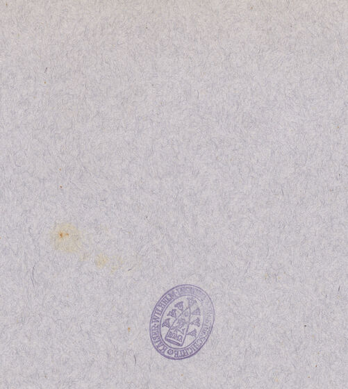 Rückseite von Bibliotheca Hertziana [https://www.deutsche-digitale-bibliothek.de/content/lizenzen/rv-fz/] Santa CristinaCollegiata Santa CristinaWestfassade - Fassade, bh018436_recto. Foto: Lindner, Paul.