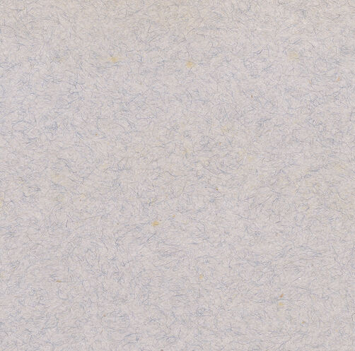 Rückseite von bh019261_recto