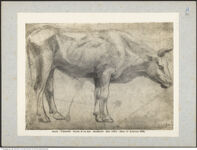 Thumbnail des zweiten Ordners