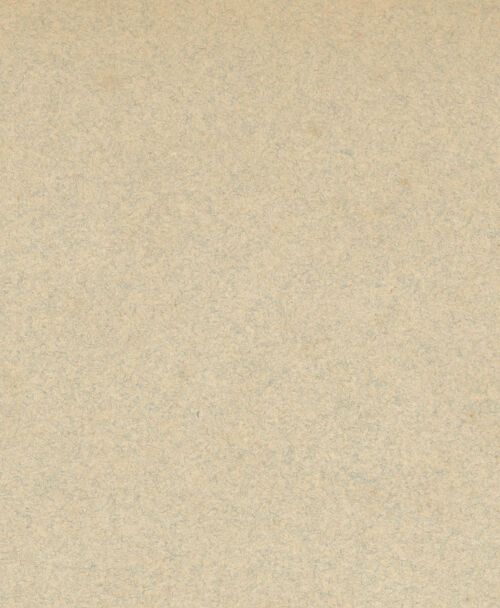 Rückseite von bh019742_recto